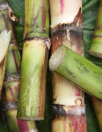 Mathieu Teisseire 70Cl Ingredient Sugar Cane