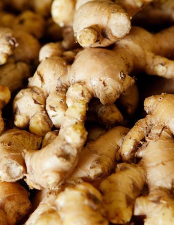 Mathieu Teisseire 70Cl Ingredient Ginger