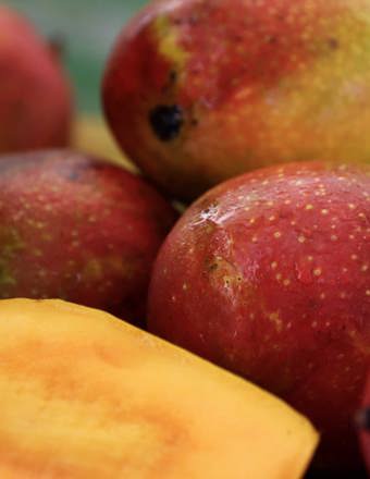 Mathieu Teisseire 70Cl Ingredient Mango